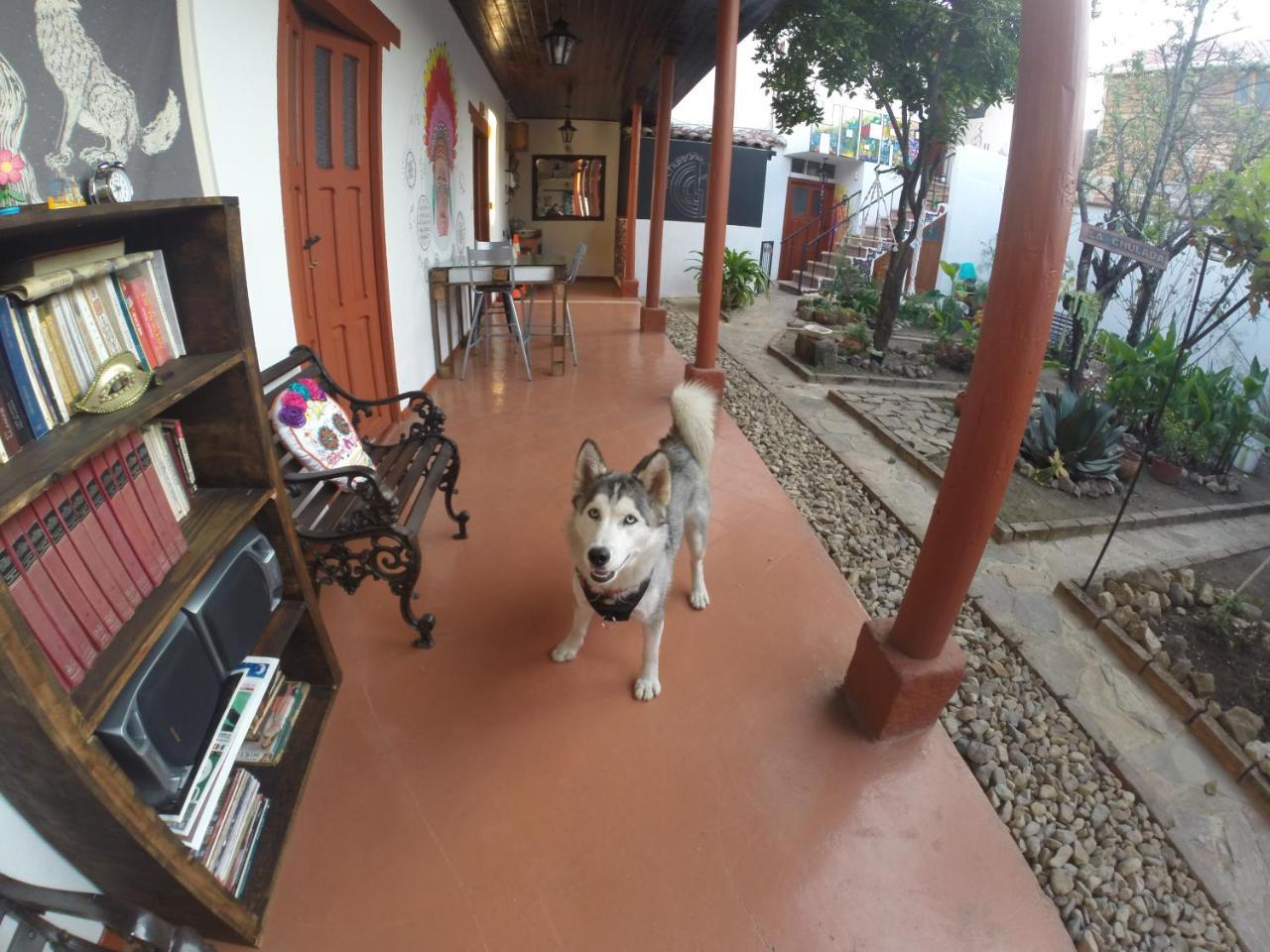 Auberge de jeunesse La Chulada à San Cristóbal de Las Casas Extérieur photo