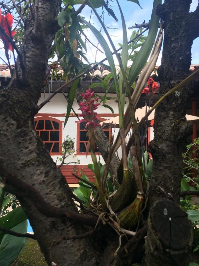 Auberge de jeunesse La Chulada à San Cristóbal de Las Casas Chambre photo