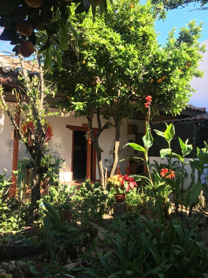 Auberge de jeunesse La Chulada à San Cristóbal de Las Casas Extérieur photo